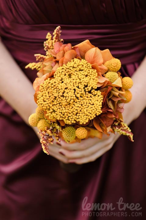 photo of Consider the Lilies